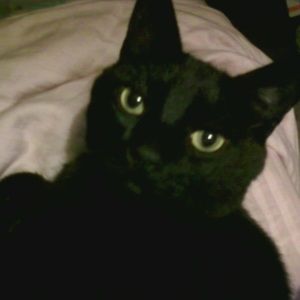 Meet your Posher, Jane